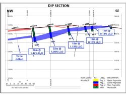 DIP SECTION