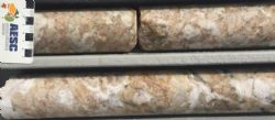 Figure 2. Pink/Beige spodumene making up a high proportion of pegmatite volume. 88.1m – 89.5m FRDD001 (HQ), BP33 Prospect, Finniss Lithium Project NT.