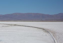 The salar (salt lake) and plant in the background