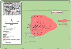 Overview showing the pegmatite exposures at North Aubry prospects