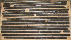 Figure 2. Drill core (MW-16-06) showing substantial graphite mineralisation.