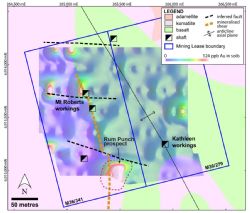 Geology of the Mt Roberts-Cottee Project area