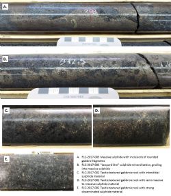 Photos of drill core sulphide mineralisation (scale = core diameter 47.6 mm)