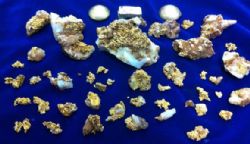 Figure 4: 25 ounces of coarse gold recovered from a NW dipping quartz vein in Boorara trial pit.