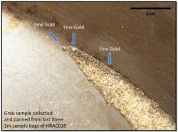 Photo of fine visible gold in panned material from the bottom of discovery hole HRAC018
