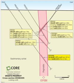 Cross-Section 8599074N, Grants Prospect, Finniss Lithium Project, NT.