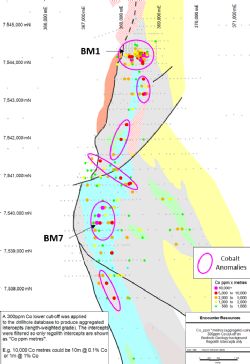 Figure 1: BM1-BM7 Prospect. Co_ppm x metres at 300ppm Co cutoff, regolith intercepts only. Background image of interpreted Proterozoic geology