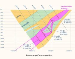 Mutooroo cross section showing 45 degree dipping massive sulphide zone (pink)