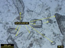 Images of course Spodumene partials from thin section sample M221 JR002 -500