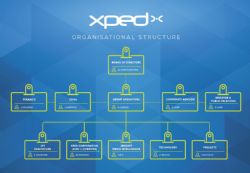 Xped Organisational Structure