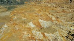 Extensively quartz-limonite veined, soft saprolite gold ore exposed in floor of the open pit that has recently been channel sampled for grade control purposes ahead of the next ore lift.