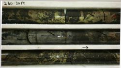 Stark Copper Nickel Prospect drillhole NDD17002 – 260.30 metres showing detail of matrix and semi-massive sulphide mineralisation.