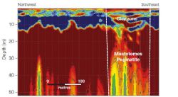 Ground Penetrating Radar (GPR) section of Mastotermes Pegmatite Target, Ringwood Prospect.