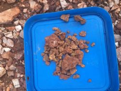 Selection of nuggets recovered by metal detecting by Great Sandy Pty Ltd (“Great Sandy”) and KS Gold Pty Ltd (“KS Gold”) at the Singer prospect, DOM’s Hill Project, E45/4722.