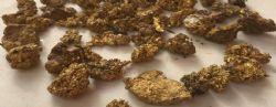 Portis gold nuggets