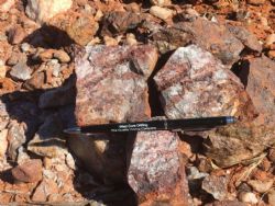 Fenceline Prospect - close up photo of ferruginous vein quartz where assays returned 3.01g/t gold