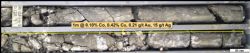 Cobalt-mineralised interval 125.1-126.1m in PDD004 from the Kidman prospect. Sulphide mineralogy is dominated by pyrite.