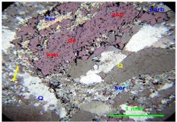 Late-stage galena (ga) carrying high silver values, cross-cutting arsenopyrite (asp).