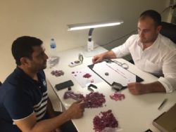 International ruby dealer, Mr Vikram Mehta, inspecting Mustang’s product at its newly established office in Chanthaburi.