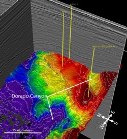 Perspective view of the Top Caley Surface (in TWT) around the Roc Field and Dorado Prospect.