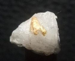 Meekatharra area quartz hosted gold (~2mm across).