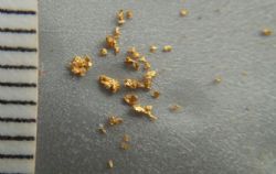 Gold panned from ~3kg air core sample from 16-17m in TGGAC181