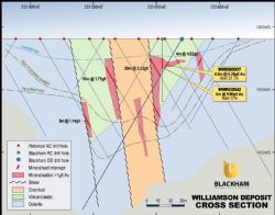 Cross section A-A' of drill results at Williamson highlighting shallow broad mineralised zones.