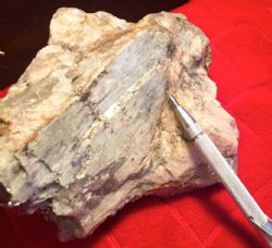 Photograph of Coarse grained spodumene from the new pegmatite