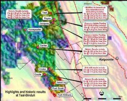 Teal and Binduli project areas overlying TMI and regional gold (ppb) geochemistry