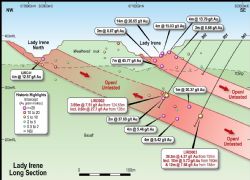 Lady Irene long section showing recent and historic drilling