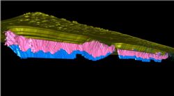 VB and Boags deposits block model below the existing pits with pink = indicated and blue = inferred