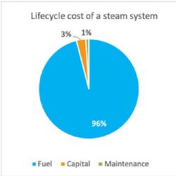 Lifecycle Cost of a Steam System