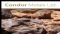 تقرير السوق الاسترالية ليوم 13 نيسان/أبريل، 2011: شركة Condor Metals ASX:CNK تحدد أولويات لإستكشاف مواقع لخامات المنغنيز في مشروع Kallona Creek.