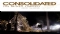 Consolidated Tin (ASX:CSD)与多家中国锡冶炼集团展开承购谈判