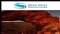 2011年3月21日澳洲股市:Shaw River (ASX:SRR)纳米比亚Otjozondu锰矿项目初始推断资源量为680万吨