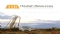 Havilah Resources Ltd (ASX:HAV) 领导团队变更
