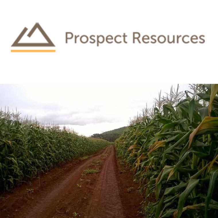 Prospect Resources 指定DRA参建阿卡迪亚锂矿项目