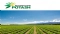 Australian Potash Ltd (ASX:APC) 任命非执行董事长