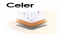 加密货币交易平台币安 (CRYPTO:BNB) 上市 Celer Token (CRYPTO:CELR)