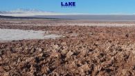Lake Resources NL (ASX:LKE) 任命企业发展官