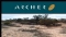 Archer Exploration Limited (ASX:AXE)收到EL3711最新錳礦鑽探結果