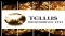 2011年6月26日亞洲活動報告:Tellus Resources (ASX:TLU)完成425萬澳元的首次公開發售,為具有高度勘探前景的金礦項目籌資
