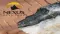 Ellis Martin Report: Nexus Gold (CVE:NXS) Announces that it has acquired the Manzour-Dayere Gold Project in Burkina Faso, West Africa