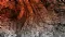 Alligator Energy Ltd (ASX:AGE) Acquires EL6350 Adjacent to Samphire Project