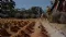 Torian Resources Limited (ASX:TNR) Final Interim Resource Estimate Gold Results