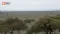 Alligator Energy Ltd (ASX:AGE) Completion of Geophysics - Samphire and Big Lake Projects