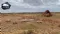 Rumble Resources Ltd (ASX:RTR) Significant Copper and Lead Discovered at Braeside Project