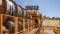 Image Resources NL (ASX:IMA) Strategic Acquisition of McCalls Mineral Sands Project