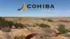 Cohiba Minerals Limited (ASX:CHK) Reviews IOCG Prospectivity of Olympic Domain Project
