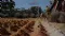 Torian Resources Limited (ASX:TNR) New Wishbone Yttrium Discovery at Mt Stirling Project